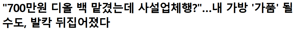 '700만원 디올 백 맡겼는데 사설업체행?'…내 가방 '가품' 될 수도, 발칵 뒤집어졌다